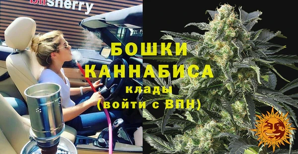 прущие грибы Горно-Алтайск