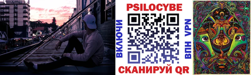блэк спрут ссылки  Чебоксары  Псилоцибиновые грибы Cubensis 